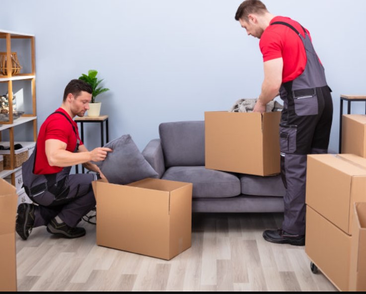Packing & Moving
